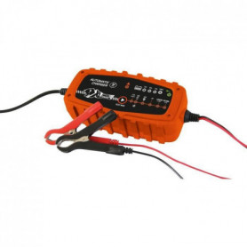 XL Perform Tools - Chargeur batterie automatique - Taille M - 6V/12V - 2A 58,99 €