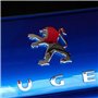FURREN Insigne De Logo De Voiture pour Peugeot 208 2012-2019, Autocollant l'emblème Remplacement Avant Capot Arrière Coffre Déco