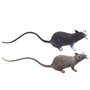NethCasti Fake Souris 2pcs 8x2 Pouces Faux Rat de Souris réaliste effrayante avec Une Longue Queue en Plastique PVC à Longue Que