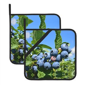 Blueberry Tree Lot de 2 maniques de cuisine résistantes à la chaleur en tissu éponge pour la cuisine et la pâtisserie