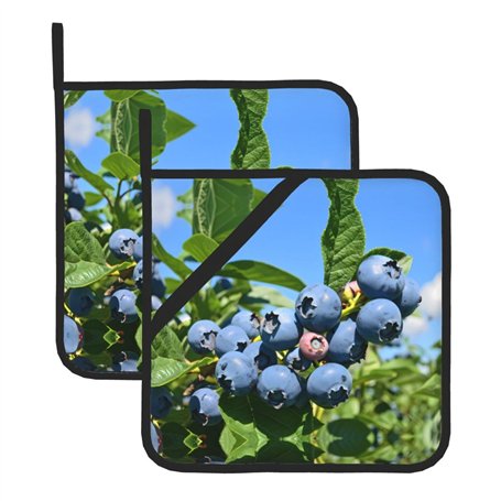 Blueberry Tree Lot de 2 maniques de cuisine résistantes à la chaleur en tissu éponge pour la cuisine et la pâtisserie