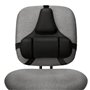 Fellowes Support Dorsal Premium Professional Series
