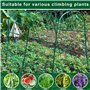 Grande grille de concombre de jardin en métal de 5 m avec treillis pour plantes grimpantes, support pois, fruits, vignes, treill