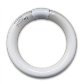 Lampe actinique fluorescente circulaire de rechange G10q 32 W pour 361B