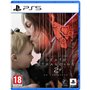Jeu vidéo PlayStation 5 Sony DEATH STRADING 2 THE BEACH