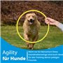 Sportacular Gear Lot de 12 Anneaux de Coordination avec Sac | Entraînement pour Ballon de Football | Agility pour Chiens
