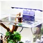 GERUI Lot de 2 lampes LED pour aquarium - Éclairage pour plantes aquatiques et poissons - 3 220 V - 6 W