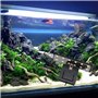 GERUI Lot de 2 lampes LED pour aquarium - Éclairage pour plantes aquatiques et poissons - 3 220 V - 6 W