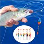 Lot de 205 flotteurs de pêche au plomb - 10 poses - 4 butoirs en caoutchouc - 4 émerillons - Pour différentes tailles de poisson
