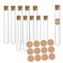 EASYLAVIE Tubes à Essai Plastique 10pcs 16cm Tube à Essai avec Etiquette pour Petit Cadeaux d'invités comme Dragées