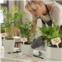 marqueurs de plantes en bambou