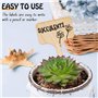 Lot de 50 étiquettes pour plantes de jardin, marqueurs de plantes en bambou, étiquette T type étiquettes de jardin réutilisables