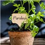 Lot de 50 étiquettes pour plantes de jardin, marqueurs de plantes en bambou, étiquette T type étiquettes de jardin réutilisables