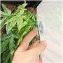 40cm/16in Plantes d'aquarium Végétaux Faux Plastique Artificiel Plantes d'herbe d'eau pour Fish Tank Aquarium Décor Plantes susp