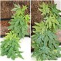 40cm/16in Plantes d'aquarium Végétaux Faux Plastique Artificiel Plantes d'herbe d'eau pour Fish Tank Aquarium Décor Plantes susp