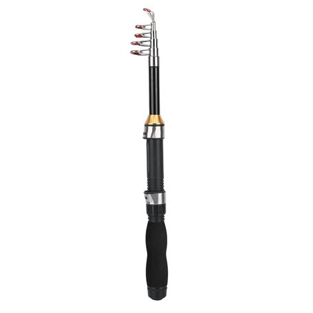 Mini Canne à pêche de Poche Canne à pêche Stylo pour la pêche en mer Pêche en Eau Douce en Eau de mer extérieure(1.2m)