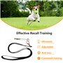 NEWHE Lot de 2 sifflets à ultrasons pour chien - Haute fréquence - Silencieux - Rappel - Sifflet durable pour un entraînement ef