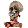 Nemesis Now Tête de Mort Metallica sous Licence Officielle Crème 23,5 cm
