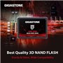 Gigastone SATA SSD internes 128Go (Lot de 5) 2.5" SATA III Interface 3D NAND Disque Dur SSD Disque de Jeu Compatible avec Ordina