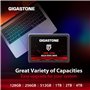 Gigastone SATA SSD internes 128Go (Lot de 5) 2.5" SATA III Interface 3D NAND Disque Dur SSD Disque de Jeu Compatible avec Ordina