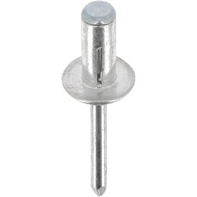 Restagraf Rivet Expansé Aluminium en Sachet pour Moteur Essuie Vitre et Carrosserie
