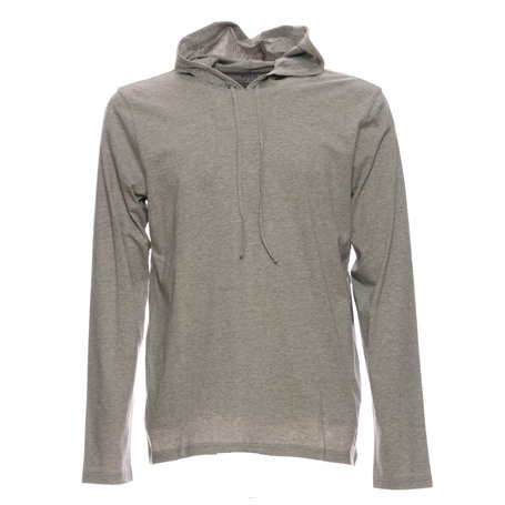 Polo Ralph Lauren Sweat à capuche pour homme en jersey de coton gris (A3