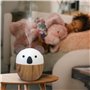 Zen’Arôme Diffuseur Huile Essentielle Woofie, Diffuseur Ultrasonique Aromathérapie à Froid, Électrique USB, 2 Modes de Diffusion