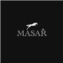 masar Outil pour Poser et Enlever Les Anses Attaches Barrettes Barres à Ressorts de Bracelets de Montres