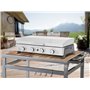 Habitat et Jardin Plancha gaz 4 bruleurs avec Couvercle Fasto - 10 KW - Gris