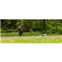Longe de traction pour chien - INTENSIA - 1.9 m - Double poignée
