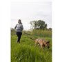 Longe de traction pour chien - INTENSIA - XL - 2.4 m - Chien +25 kg - Noir