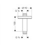 Bras de douche plafond 3/4" 100 mm pour Raindance Royale chromé