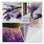 HEKU Lot de 100 serviettes en papier triple épaisseur, 33 x 33 cm, lavande I Absorbantes et pratiques I Large choix I Idéal pour