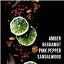 SEB MAN - The Cooler - Tonique rafraichissant - 100ml