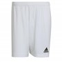 adidas Homme Entrada 22 Shorts