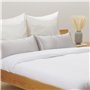 Blumtal protege oreiller 50x70 pour coussin - lot de 2 - taie oreiller 50 x 70 microfibre - taie d'oreiller 50x70 avec fermeture
