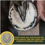 Soin de la fourchette pour chevaux I Protection de la fourchette Soin du sabot I Sabot fourchette semelle I Gel de fourchette I 