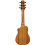 Ibanez Acoustic guitar Ukulele AUP10NOPN Standard