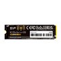 Disque dur Silicon Power SP01KGBP44US7505 1 TB SSD