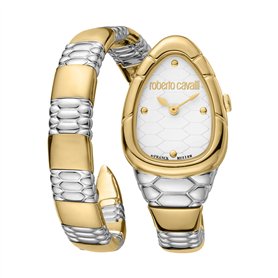 Roberto Cavalli by Franck Muller Femmes Analogique Quartz Montre avec Bracelet en Acier Inoxydable RV1L184M0061