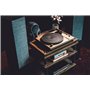 Audio-Technica LPW40WN Platine Vinyle Manuelle à Entraînement par Courroie Noyer