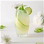 Argon Tableware Lot de 6 verres Highball - 510 ml « Tondo » Verres à boire modernes Hiball Gobelets lavables au lave-vaisselle G