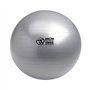 Fitness-Mad Anti-Burs Balle suisse t Argenté65 cm 125 kg