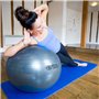 Fitness-Mad Anti-Burs Balle suisse t Argenté65 cm 125 kg