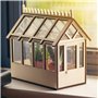 CKB LTD Serre Miniature d'intérieur avec Toit Amovible pour fenêtre de Cuisine idéale pour cultiver des Herbes des graines