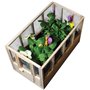 CKB LTD Serre Miniature d'intérieur avec Toit Amovible pour fenêtre de Cuisine idéale pour cultiver des Herbes des graines, des 