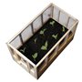 CKB LTD Serre Miniature d'intérieur avec Toit Amovible pour fenêtre de Cuisine idéale pour cultiver des Herbes des graines, des 