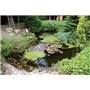 BSI - Aqua Clear - Clarifiant - Pour Bassins et Étangs - Retrouvez Une Eau Limpide En Une Semaine - 900g