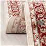 Carpeto Rugs Tapis Salon Motif Fleur Oriental - Tapis Grande Taille de Chambre Adulte Moderne à Poils Ras - Moquette pour Chambr