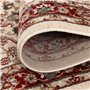 Carpeto Rugs Tapis Salon Motif Fleur Oriental - Tapis Grande Taille de Chambre Adulte Moderne à Poils Ras - Moquette pour Chambr